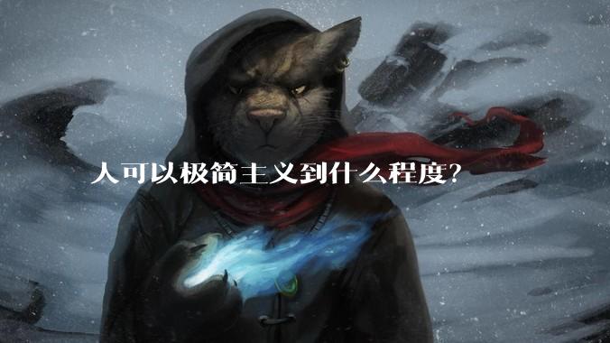 人可以极简主义到什么程度？