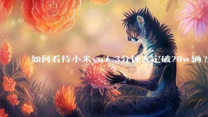 如何看待小米yu7 3分钟大定破20w辆?