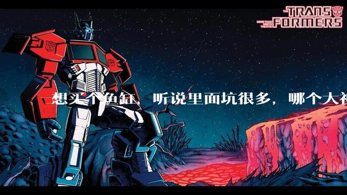 想买个鱼缸，听说里面坑很多，哪个大神给讲解一下呀？