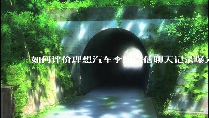 如何评价理想汽车李想微信聊天记录曝光，并称「特斯拉以一种最初级的办法赢了所有对手」？