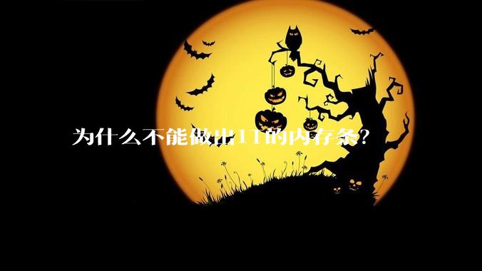 为什么不能做出1T的内存条？