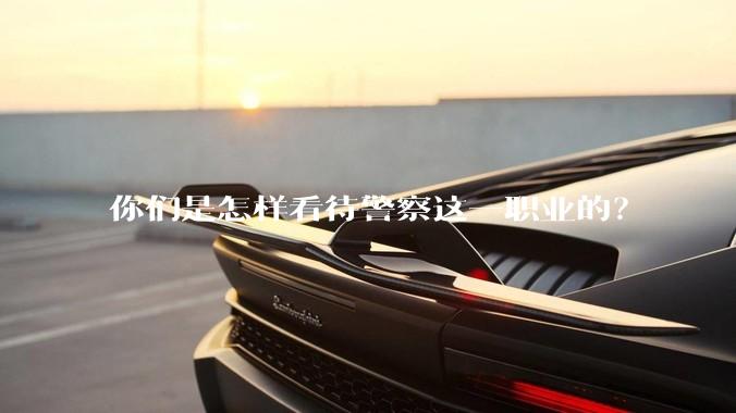 你们是怎样看待警察这一职业的？
